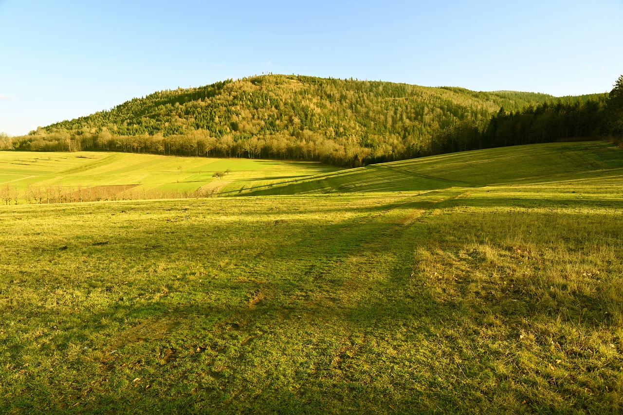 wahoo fitness elemnt bolt v2 gps bike computer