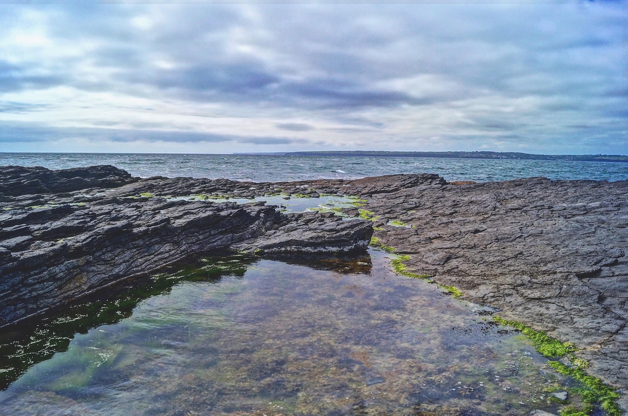 cold email for internship