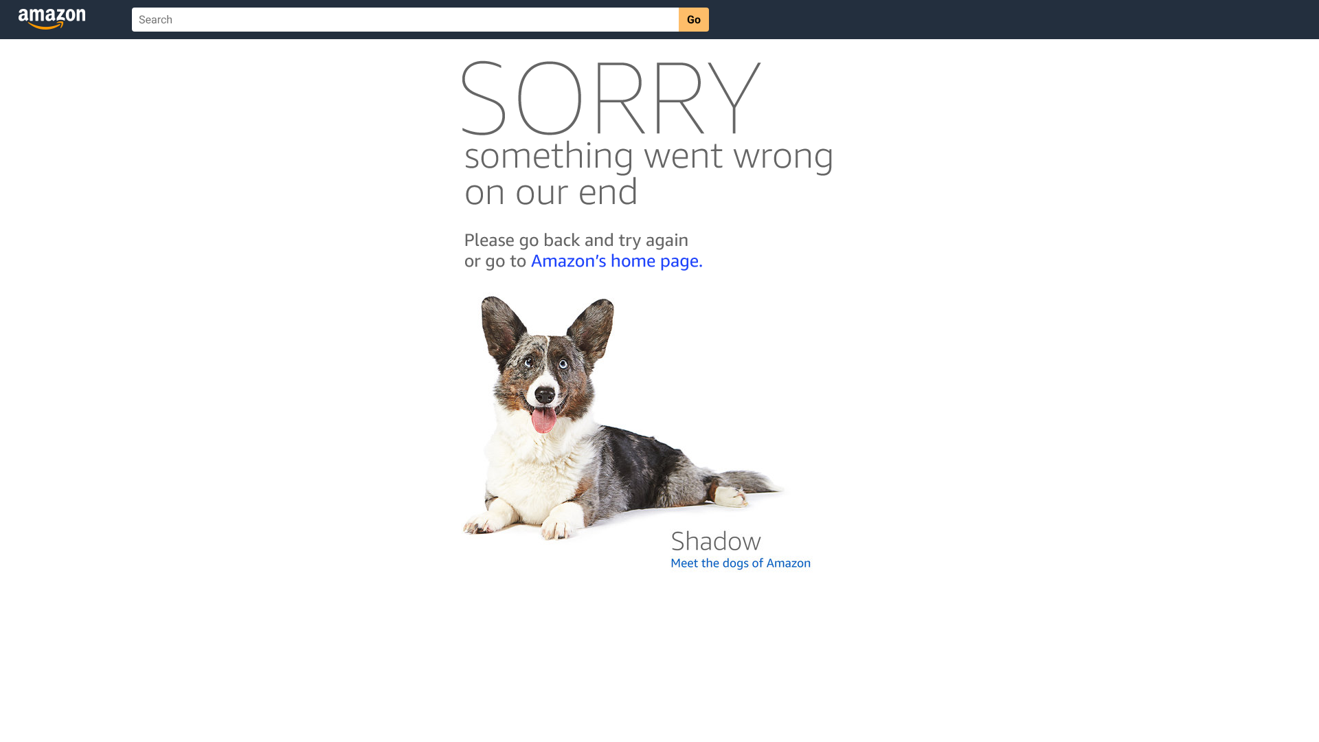 best travel accessories women