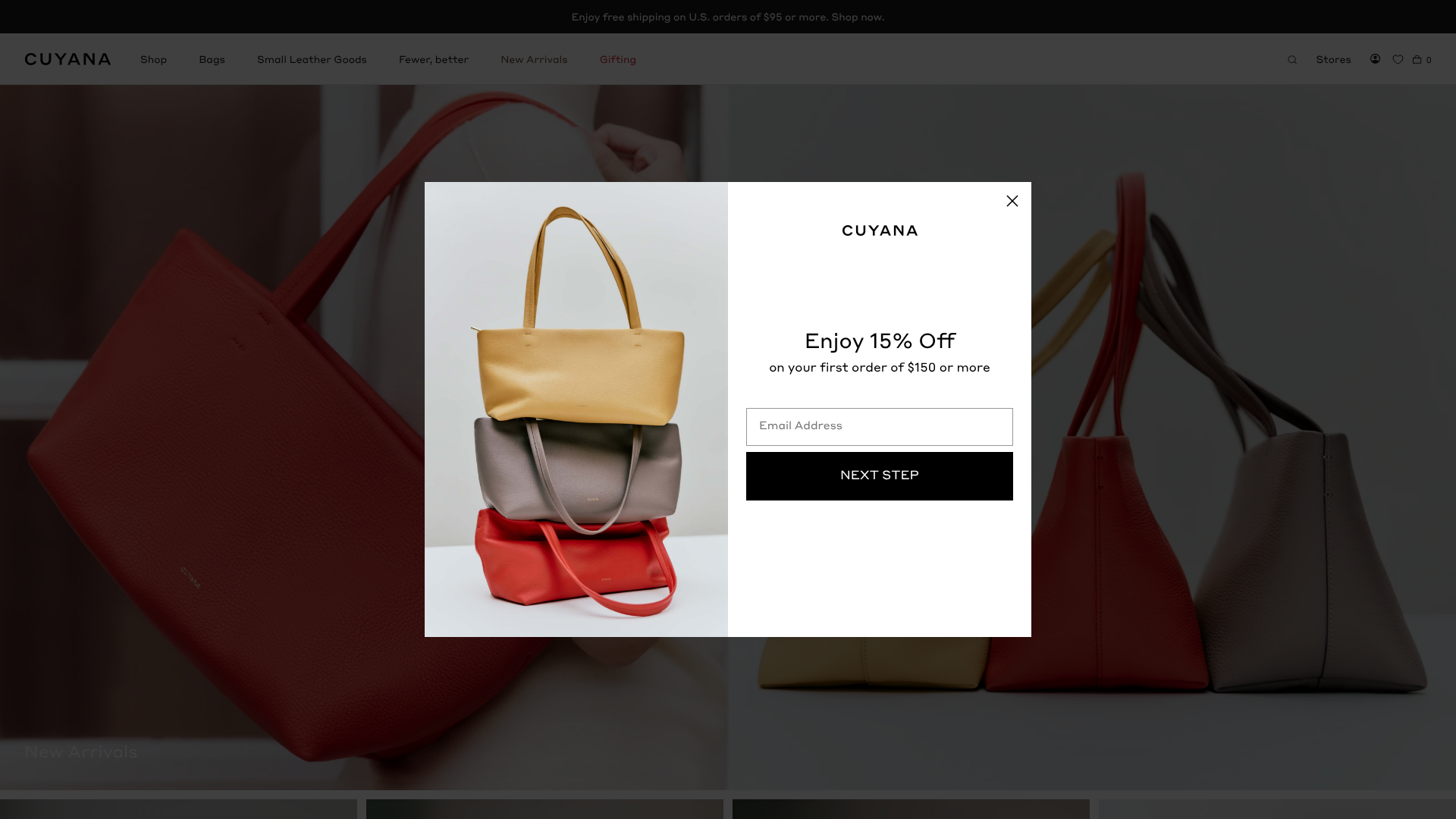 best carry on travel tote