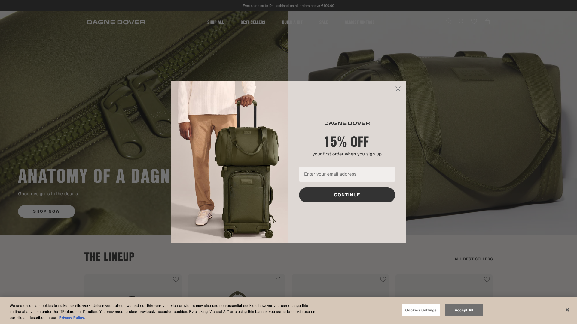 best carry on travel tote