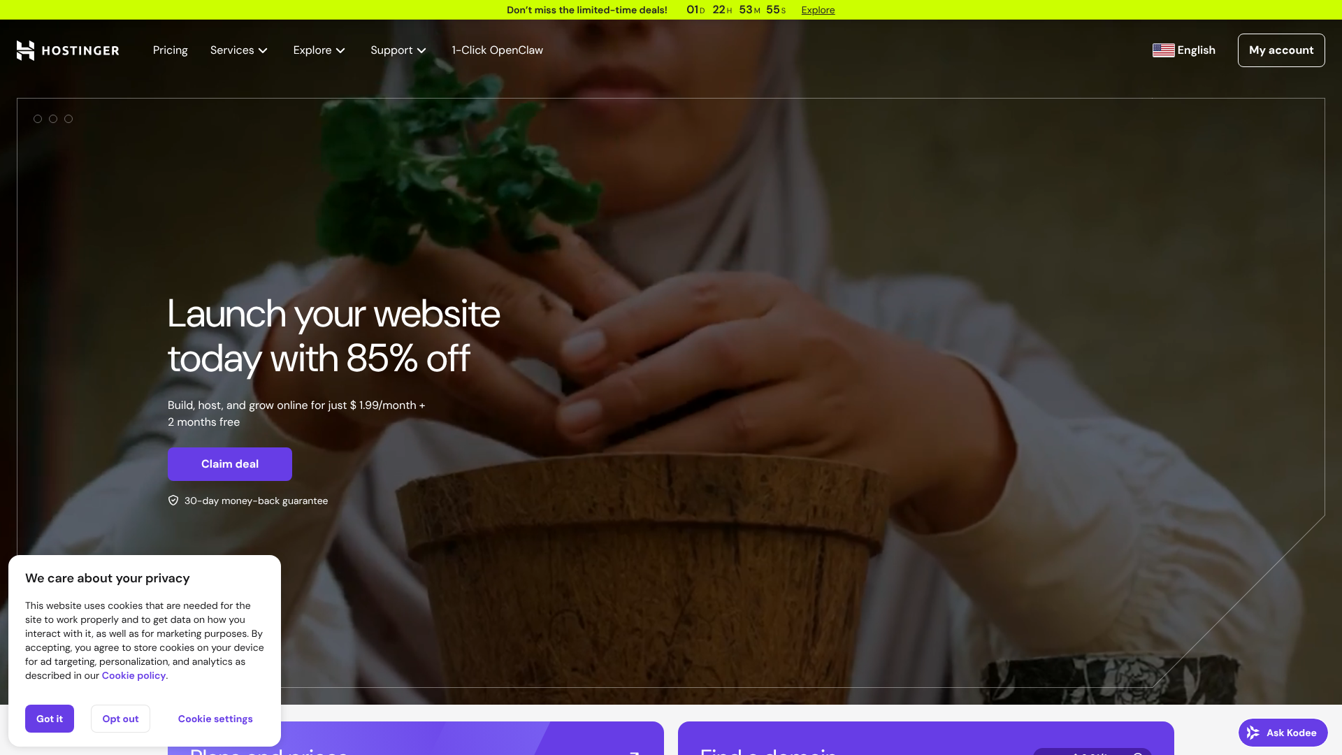 Hosting vs Domain Registration: A Beginner's Guide to Choosing 5 hosting vs domain registration