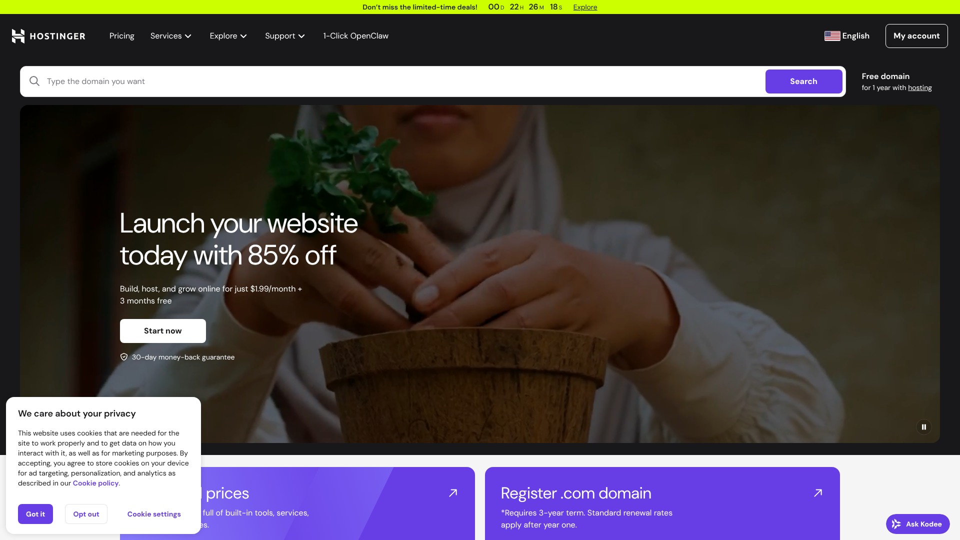 Hosting vs Domain Registration: A Beginner's Guide to Choosing 5 hosting vs domain registration