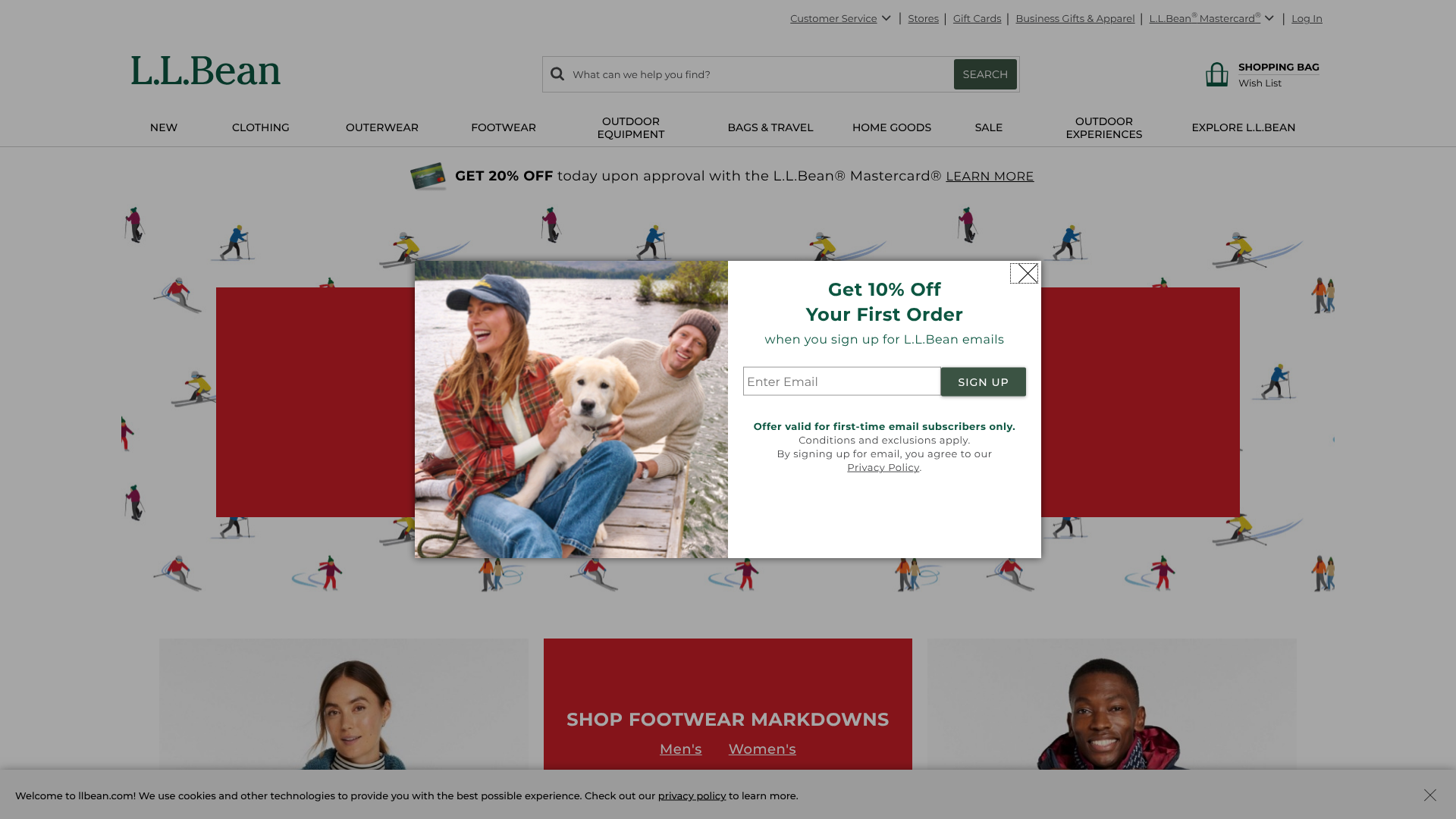 best carry on travel tote