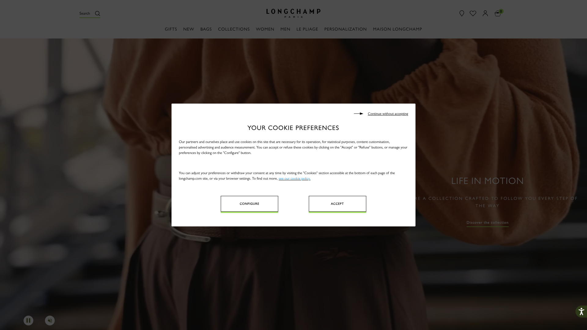 best carry on travel tote