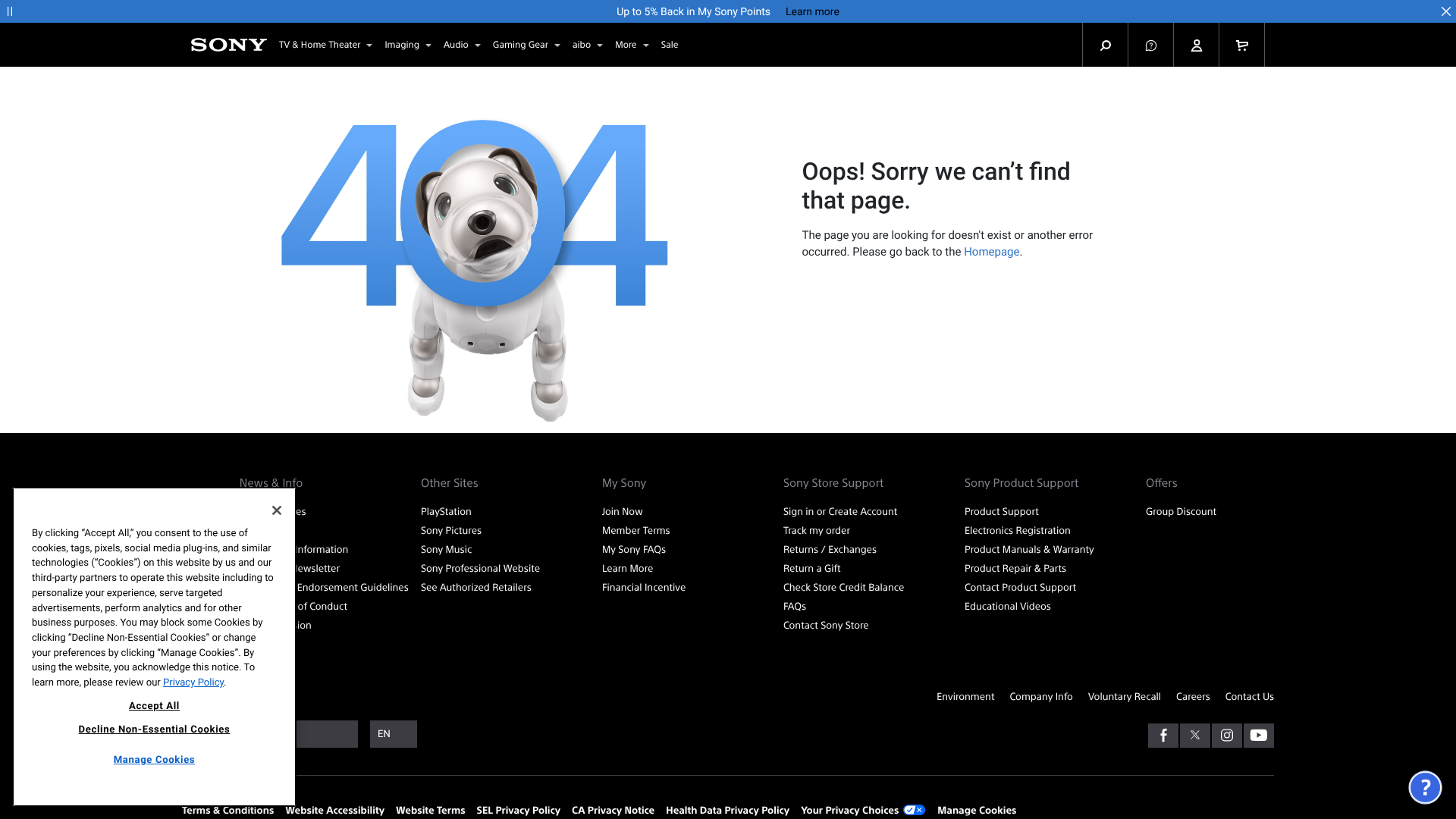 best photography cameras for beginners cheap