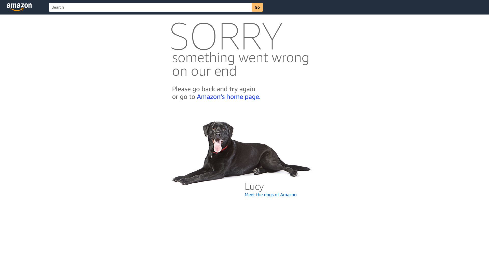 best travel accessories women