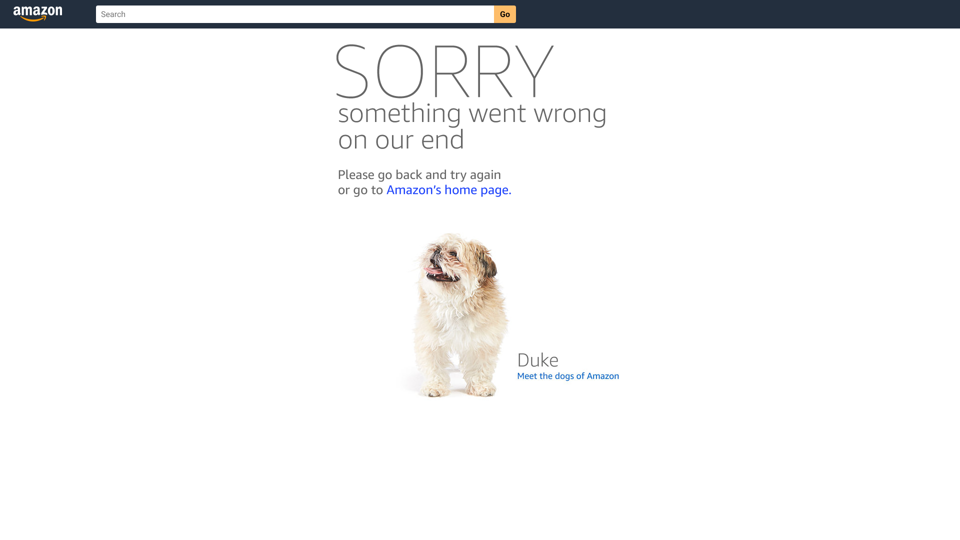 wahoo elemnt cycling computer