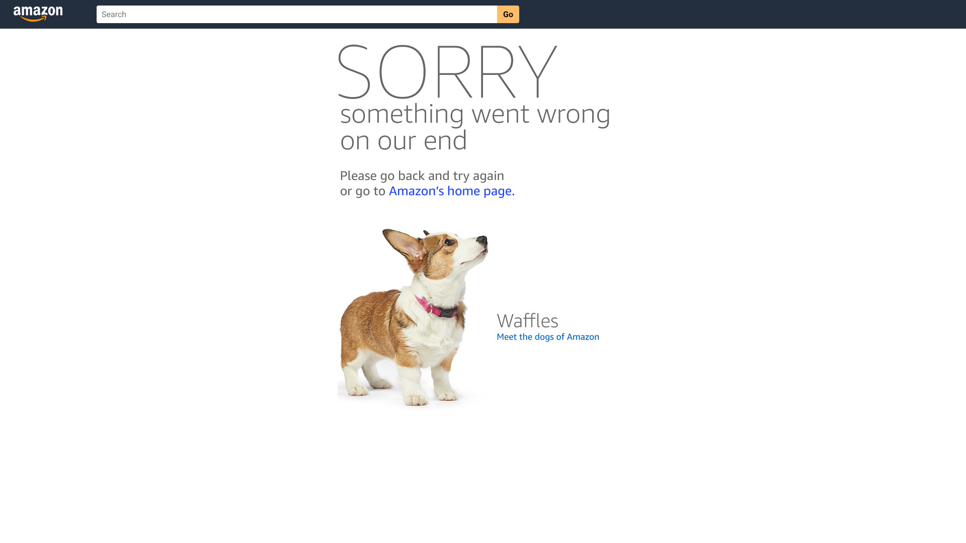 wahoo fitness tickr review